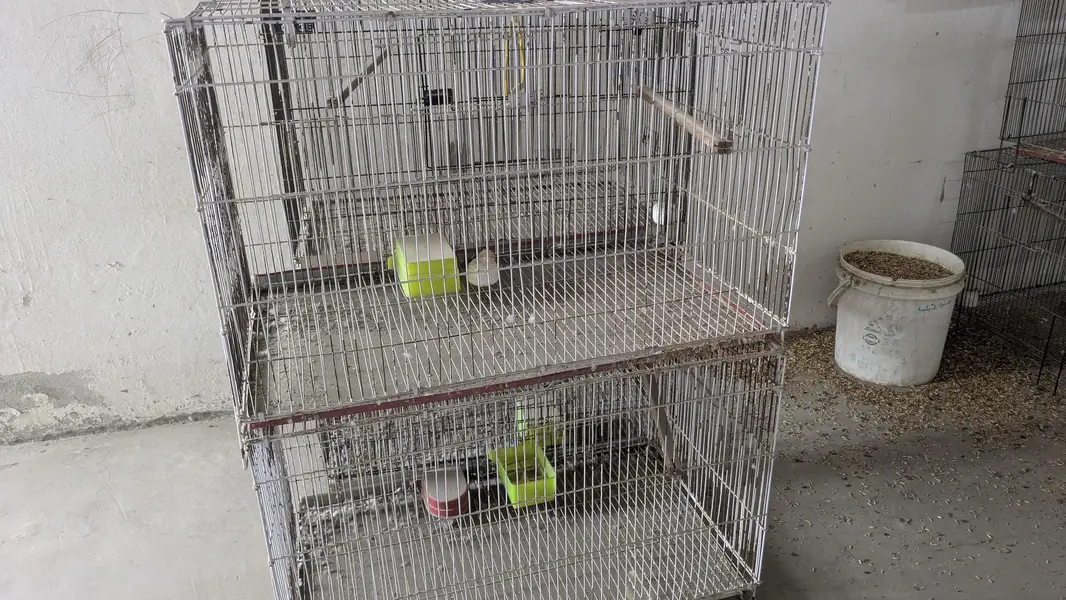 folding cage With box or full setup for aale — photo 3