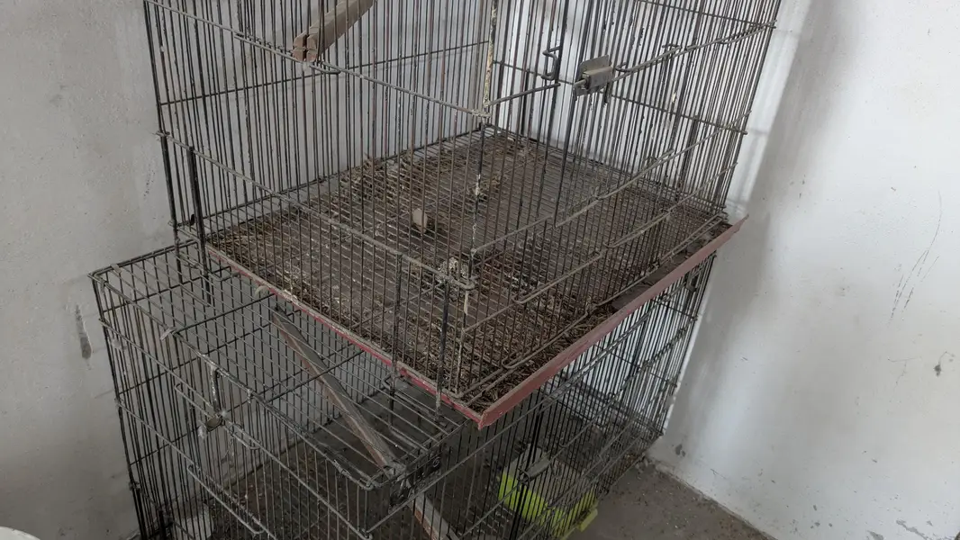 folding cage With box or full setup for aale — photo 4