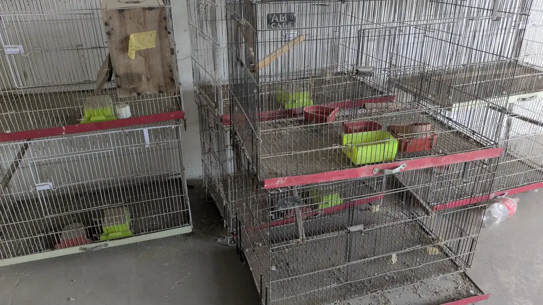 folding cage With box or full setup for aale — photo 5