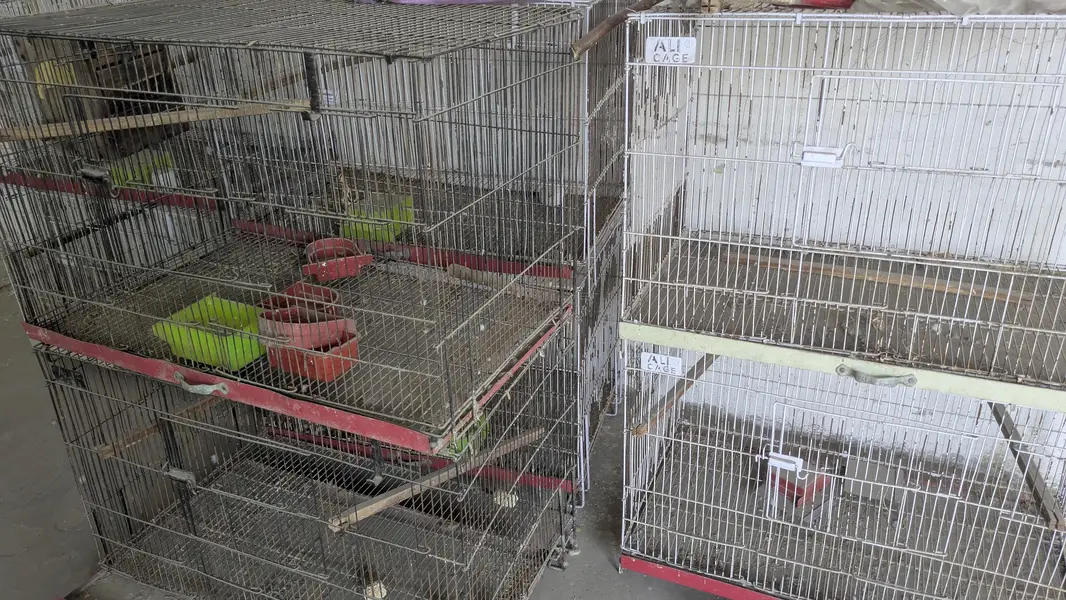folding cage With box or full setup for aale — photo 6
