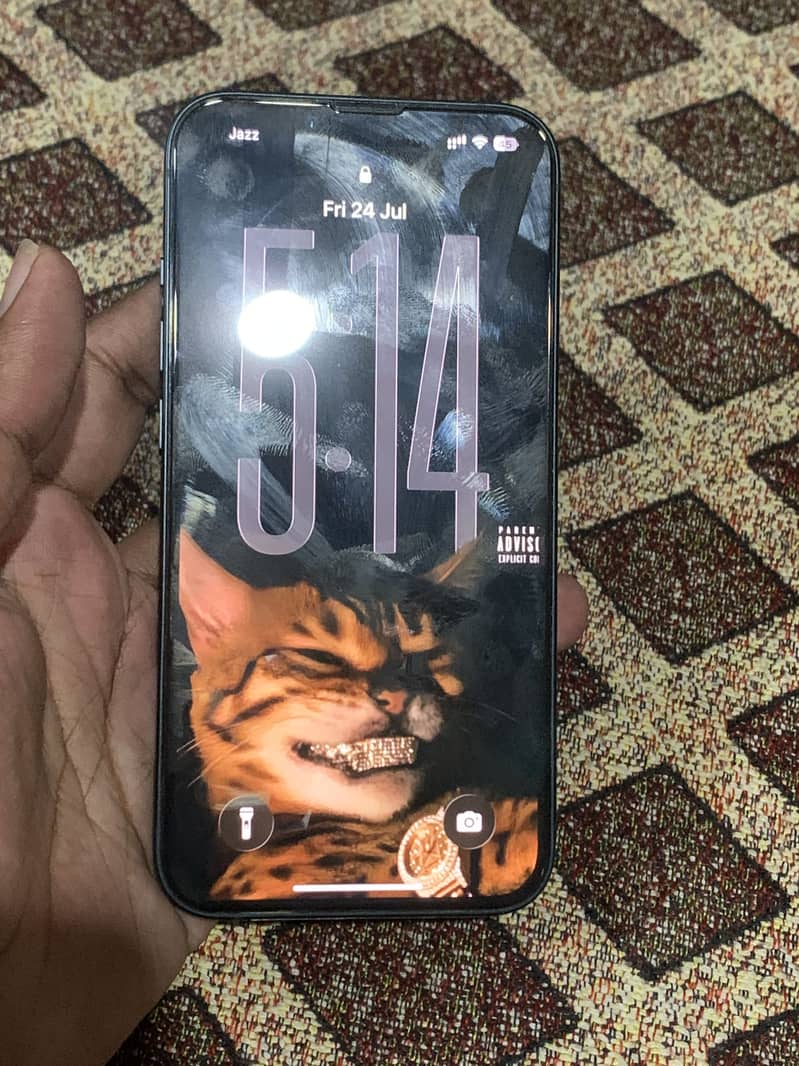 Apple iPhone 13 0