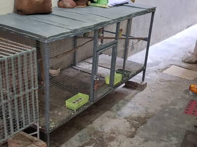 Cage for all purposes 5ft x 2.5ft x 2ft
