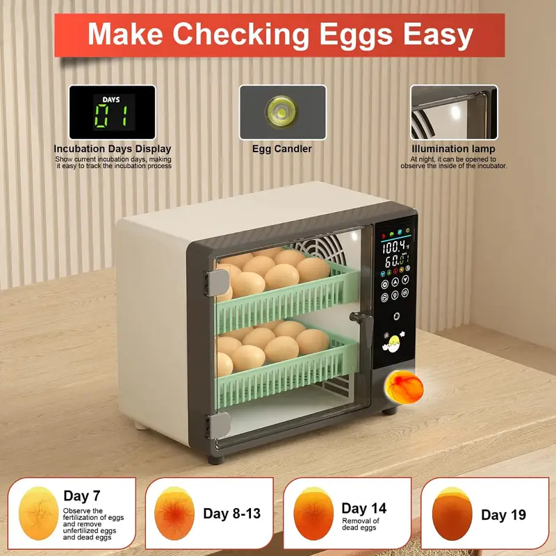 AC/DC Dual Power Oven Type Automatic Egg Incubator 24/50 Eggs — photo 2