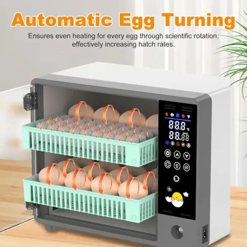 AC/DC Dual Power Oven Type Automatic Egg Incubator 24/50 Eggs — photo 4