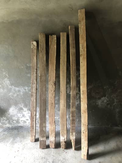 Kikar k baly for sale