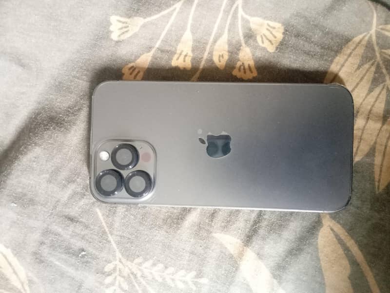 Apple iPhone 13 Pro Max 1