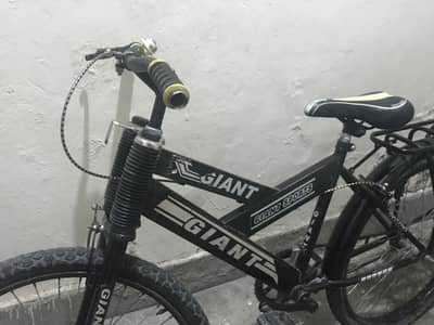 Giant cycle ha