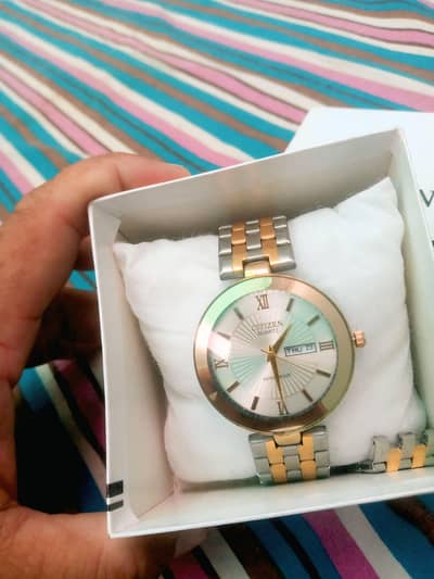citizen watch dete n day.