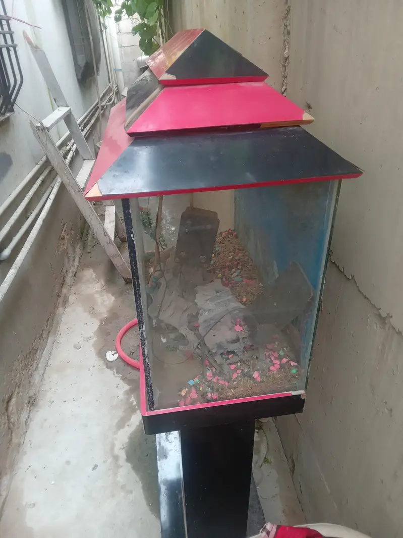 fish aquarium in good condition with all accessories for sale — photo 2