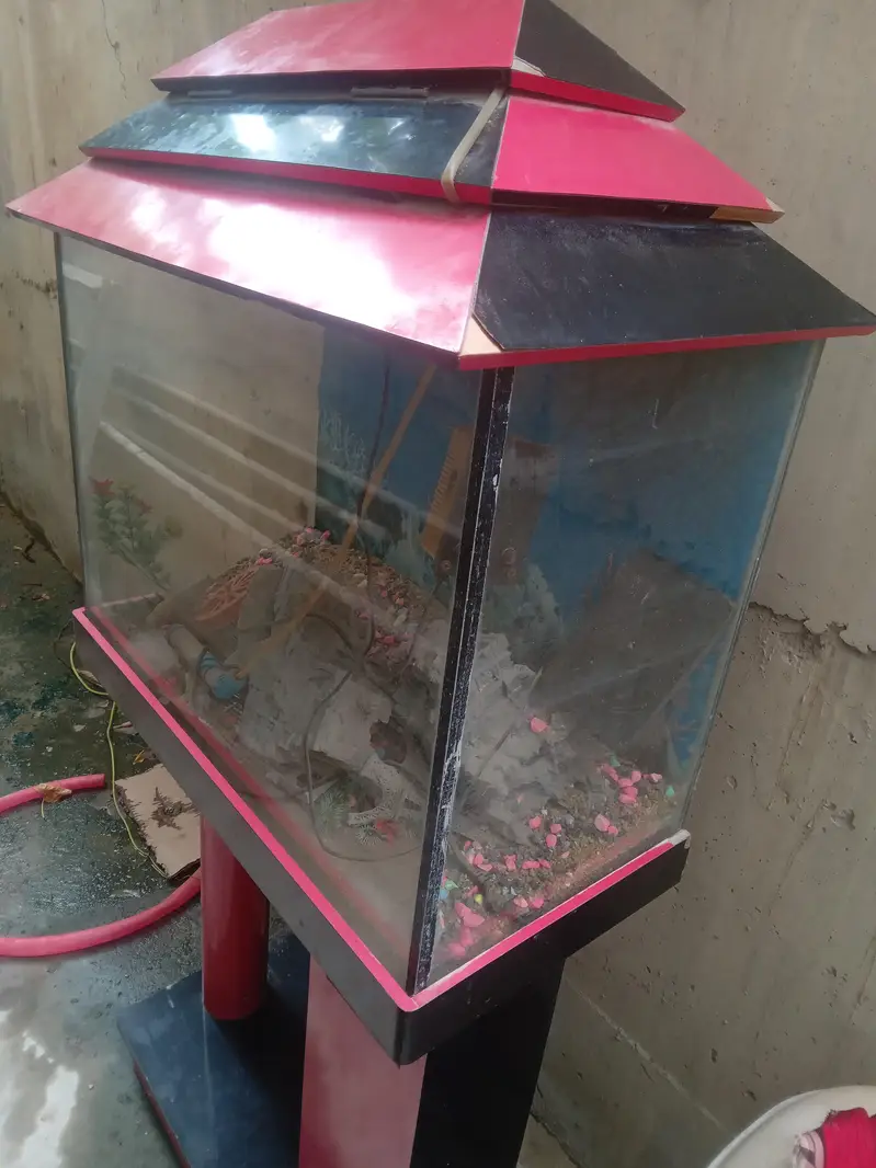 fish aquarium in good condition with all accessories for sale — photo 3