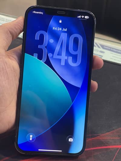 Apple iPhone 12 Pro Max