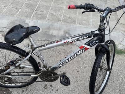 Spalding Early Bird Aluminum Race-Mix Bike (High Durability)