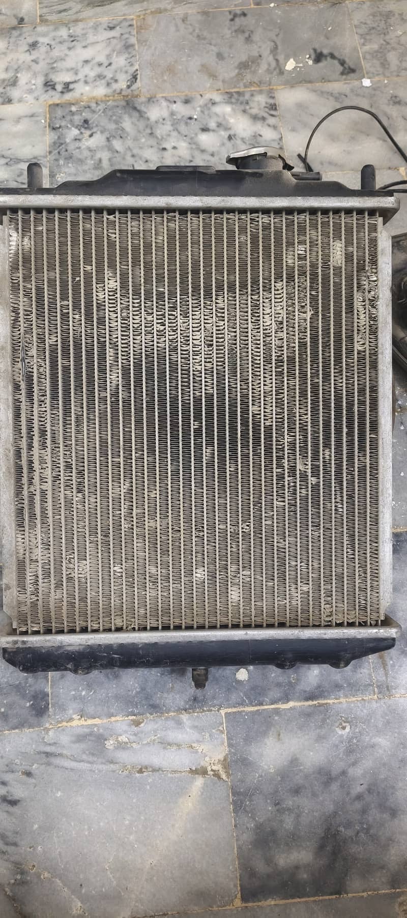 Cuore Radiator 1