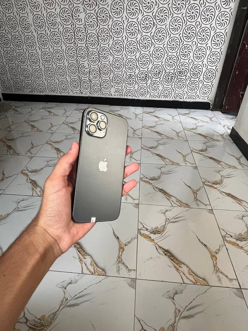 Apple iPhone 12 Pro Max 1