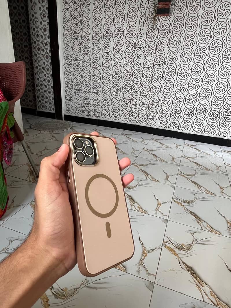 Apple iPhone 12 Pro Max 5