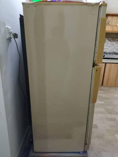 PEL frige for sale