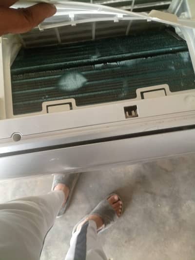 Kenwood Indoor SG Outdoor