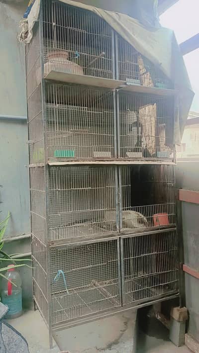 cage pinjra big size K hai location malir 15