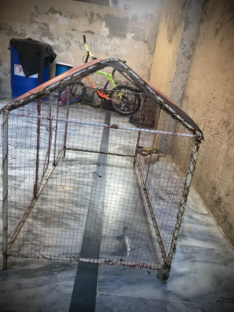 Hen cage — photo 2