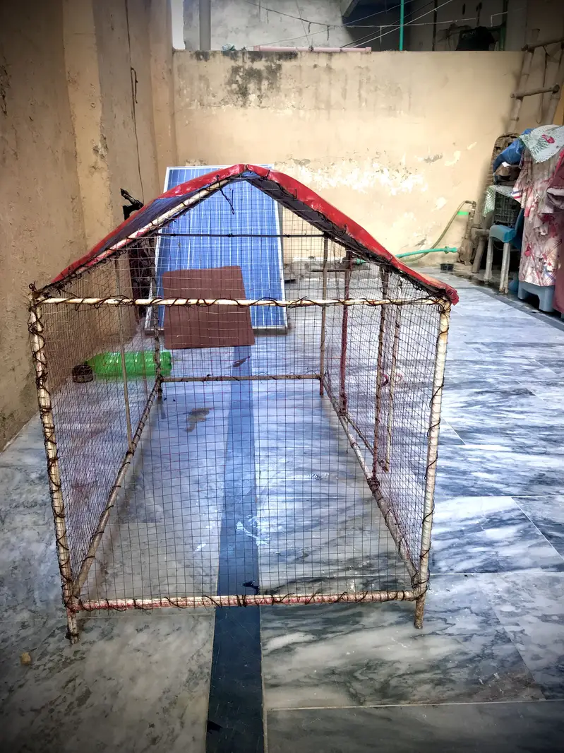 Hen cage — photo 3
