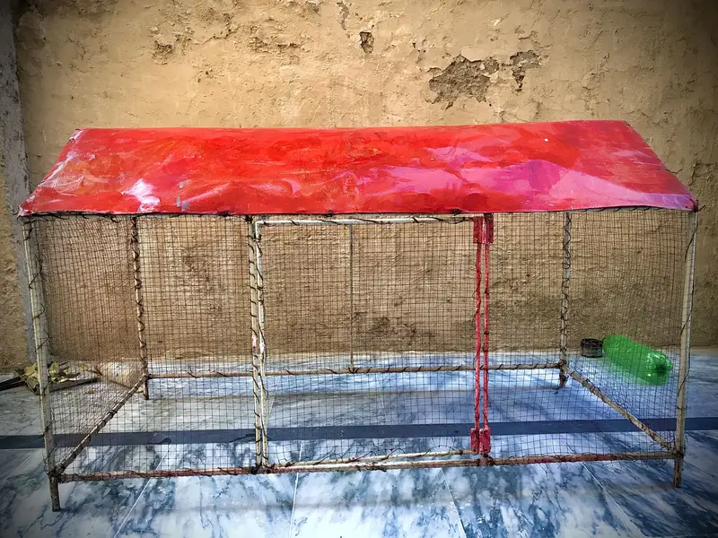 Hen cage — photo 4