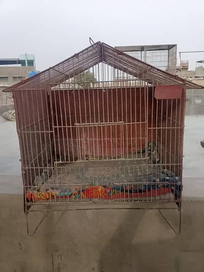 Caged