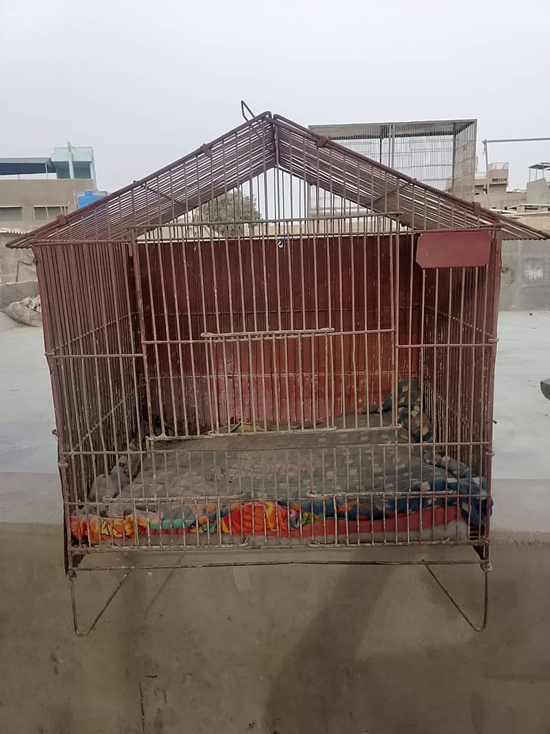 Caged 0