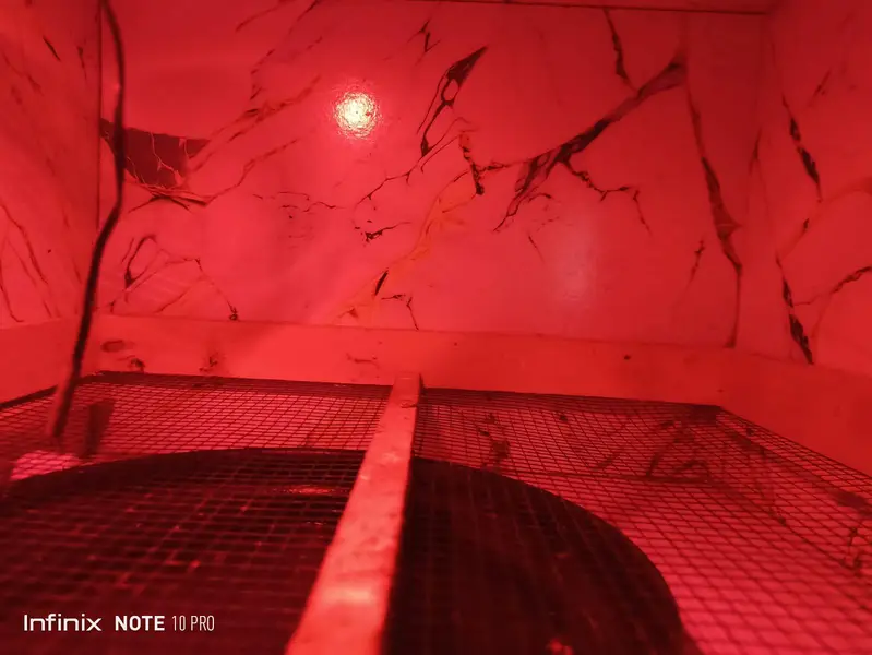 Semi Automatic incubator for 60 eggs — photo 3