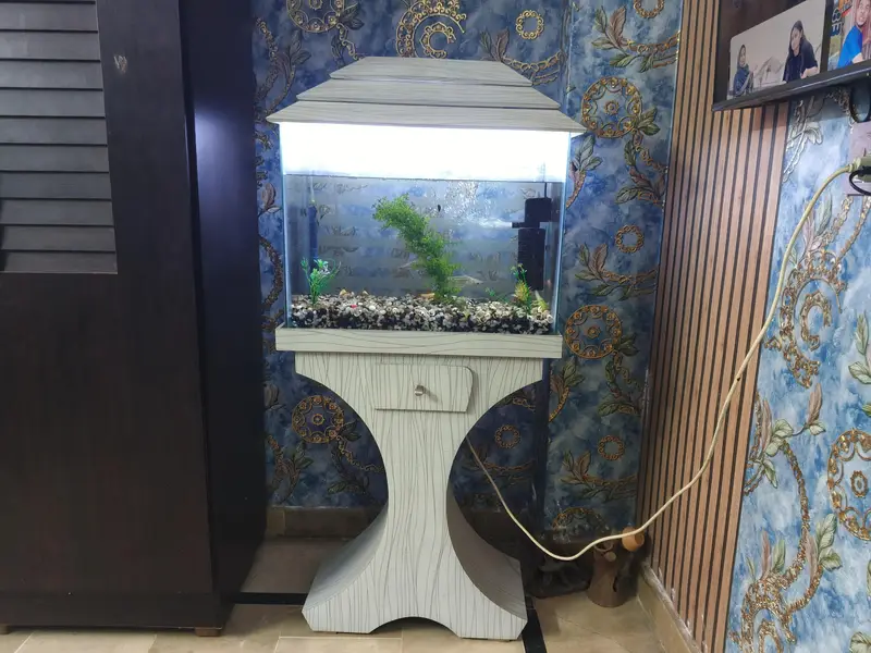 Fish aquarium — photo 2