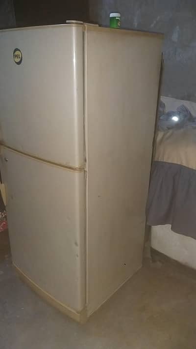 salel fridge