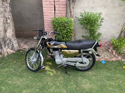 Honda 125 Gold Edition