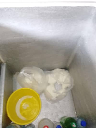 dowlance frizer medium size