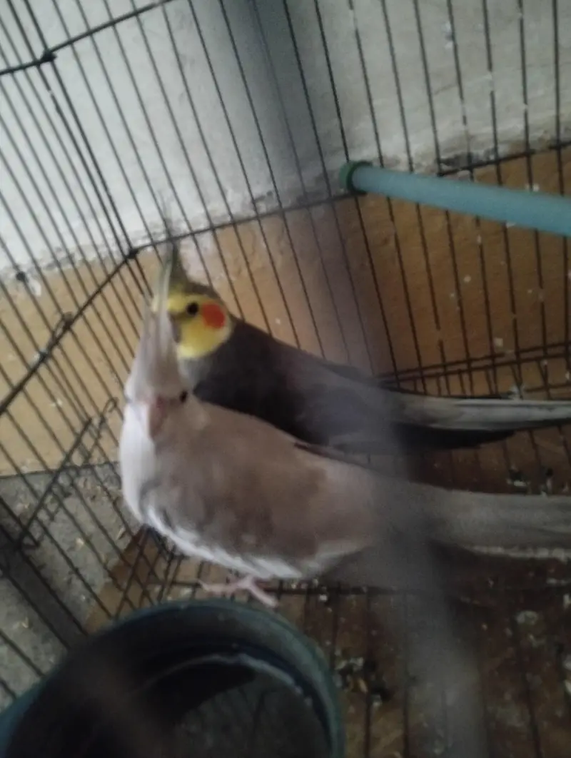 black male white female — photo 2