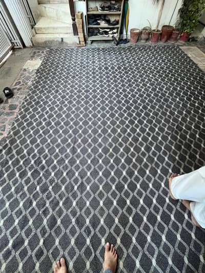 carpet 12X10.6