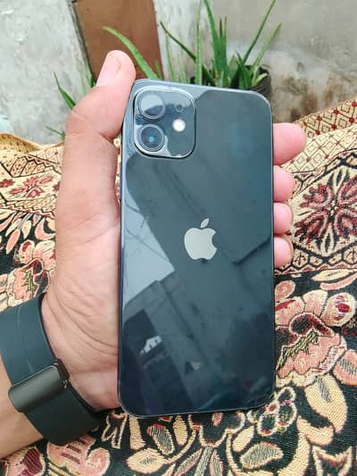 Apple iPhone 12