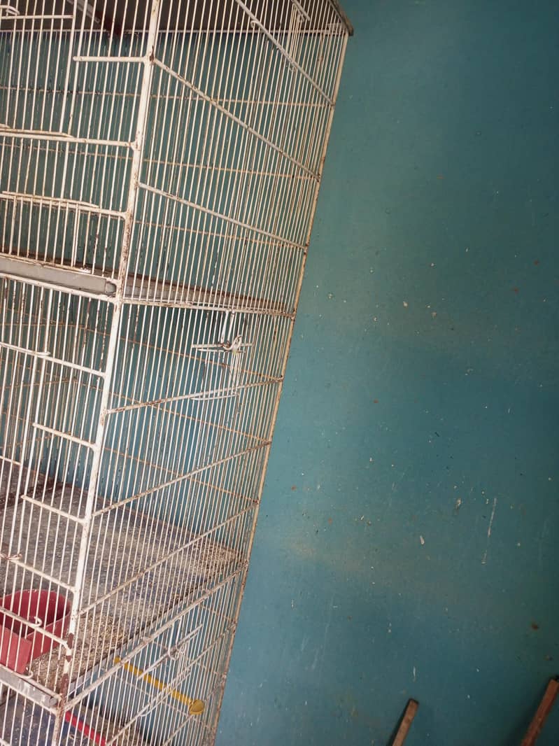 8 portion Cages 1