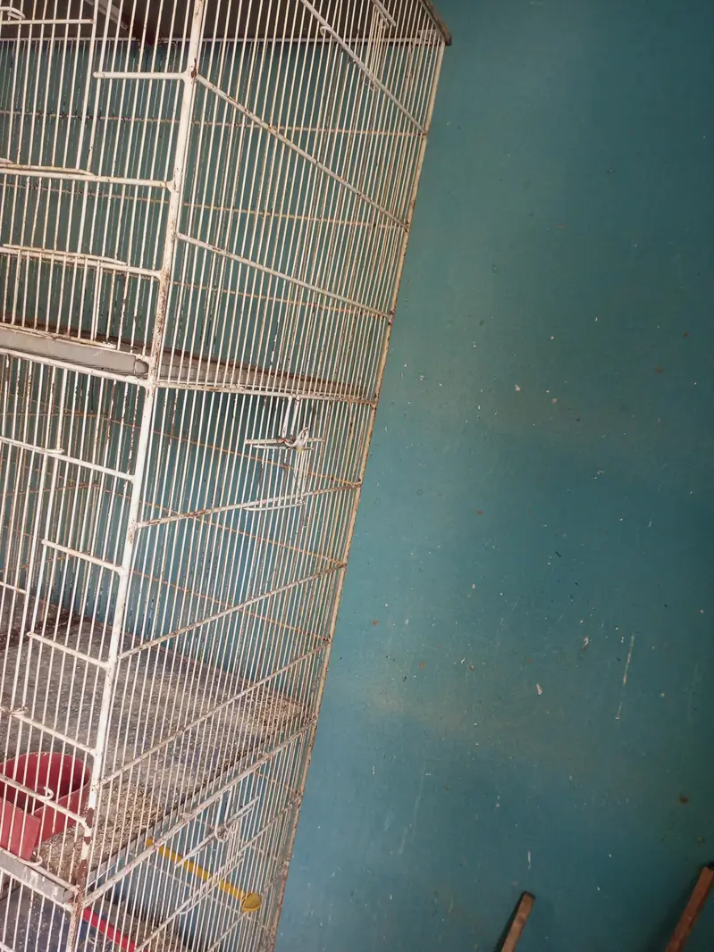 8 portion Cages — photo 2