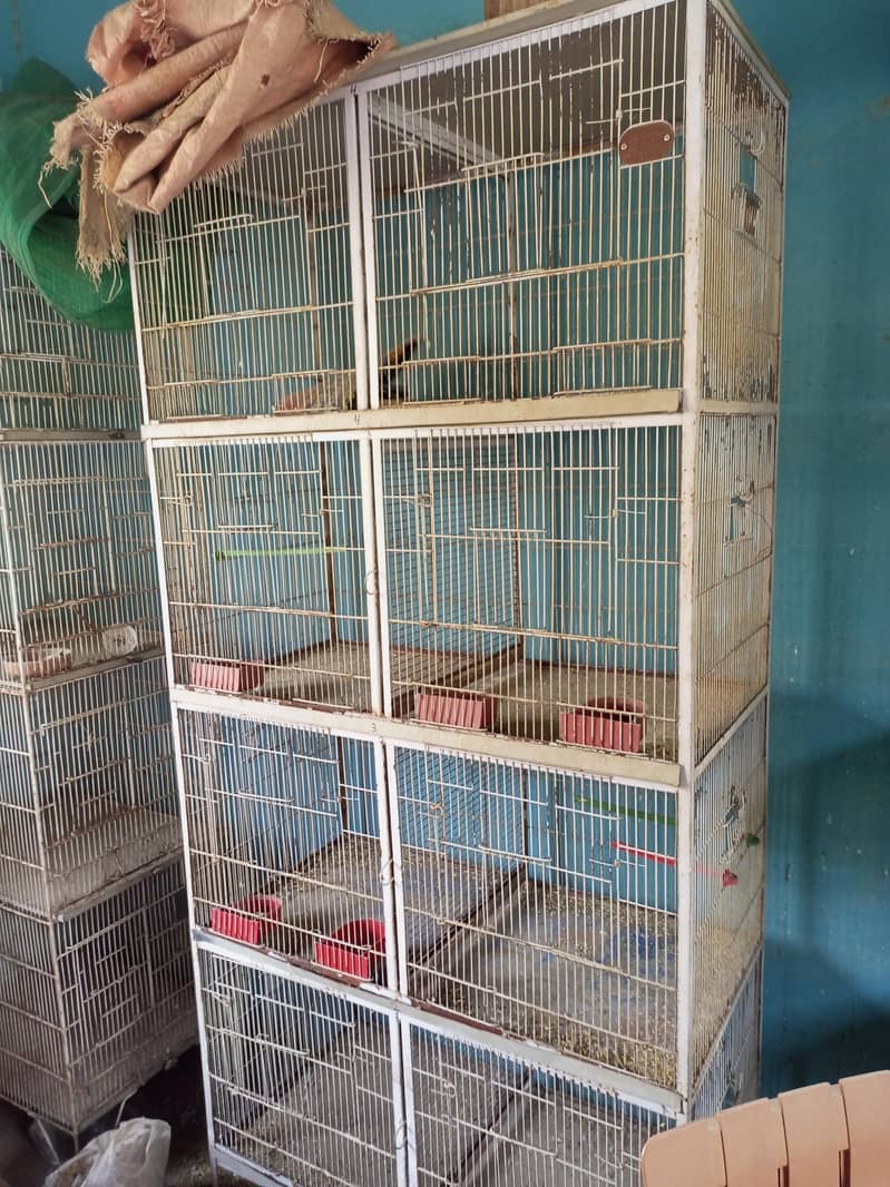8 portion Cages 2