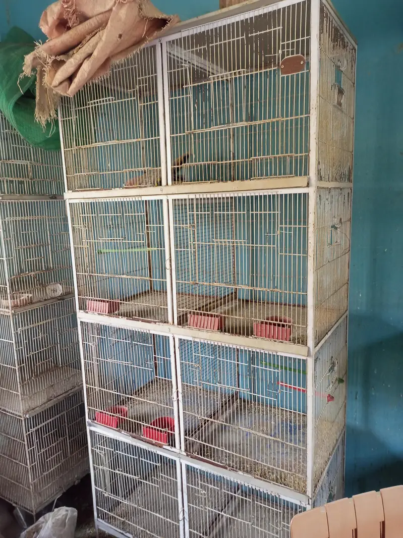 8 portion Cages — photo 3