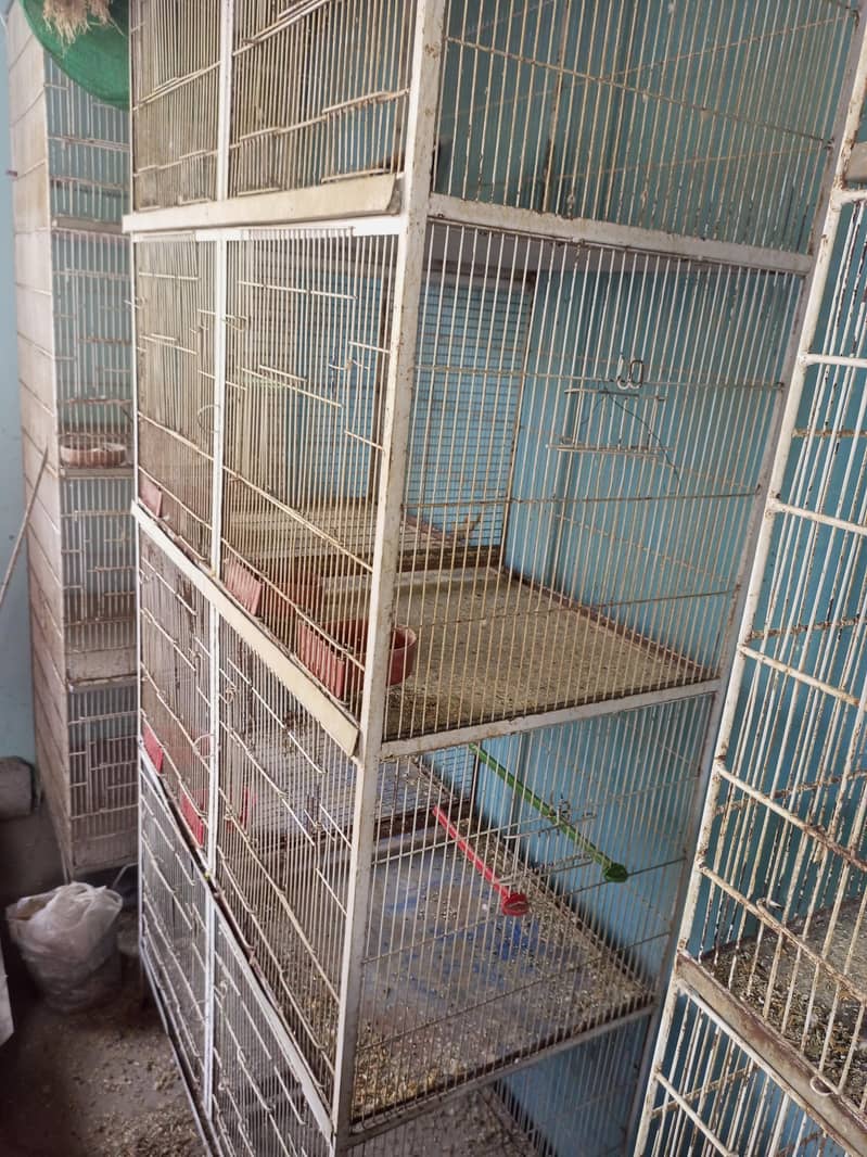 8 portion Cages 3