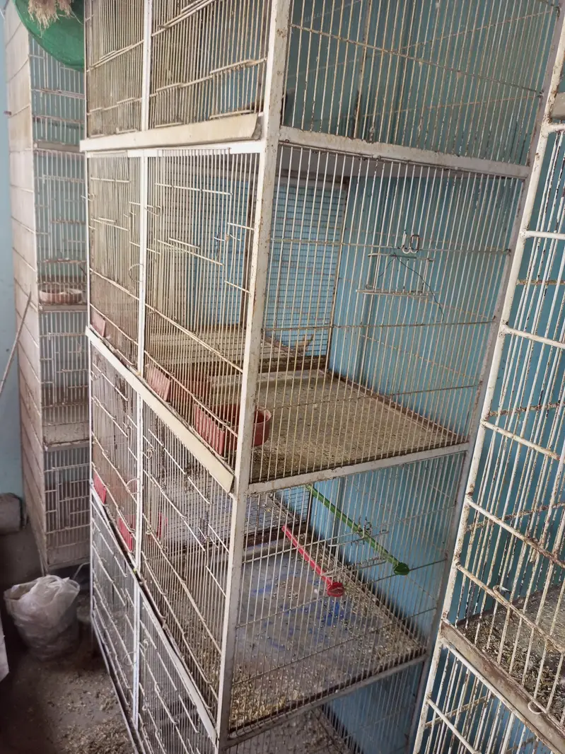 8 portion Cages — photo 4