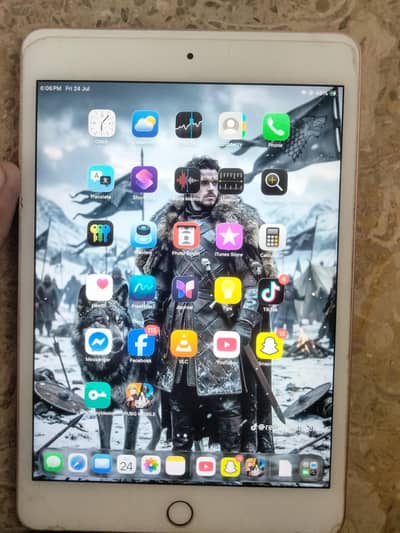 ipadmini5