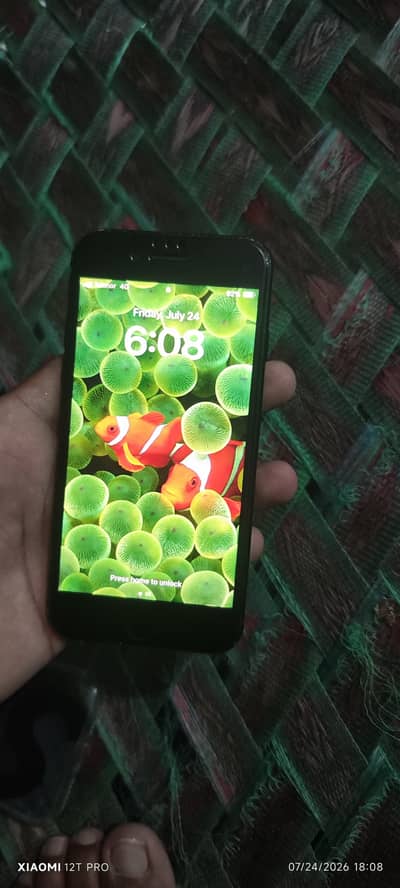 Apple iPhone SE. 0.3. 4.6. 8.0. 6.7. 6.0. 5.