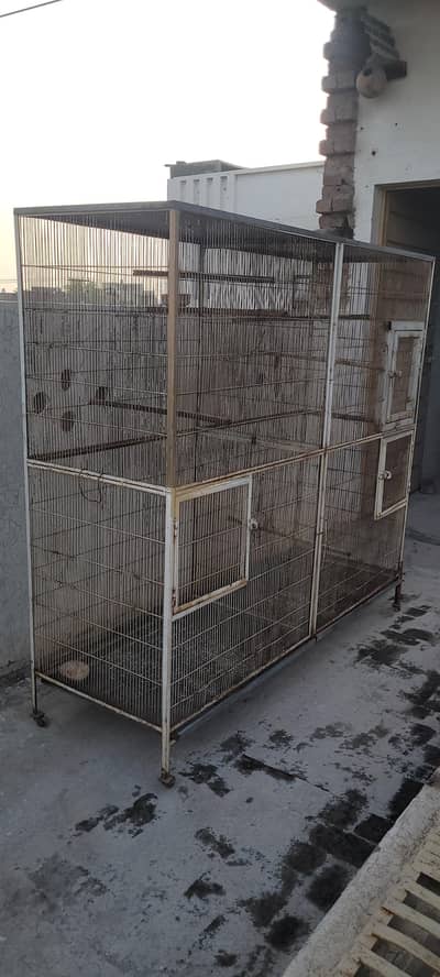 Parrot Cage