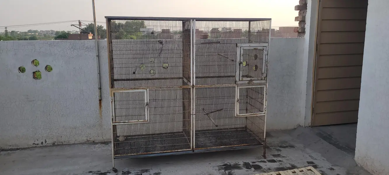 Parrot Cage — photo 2