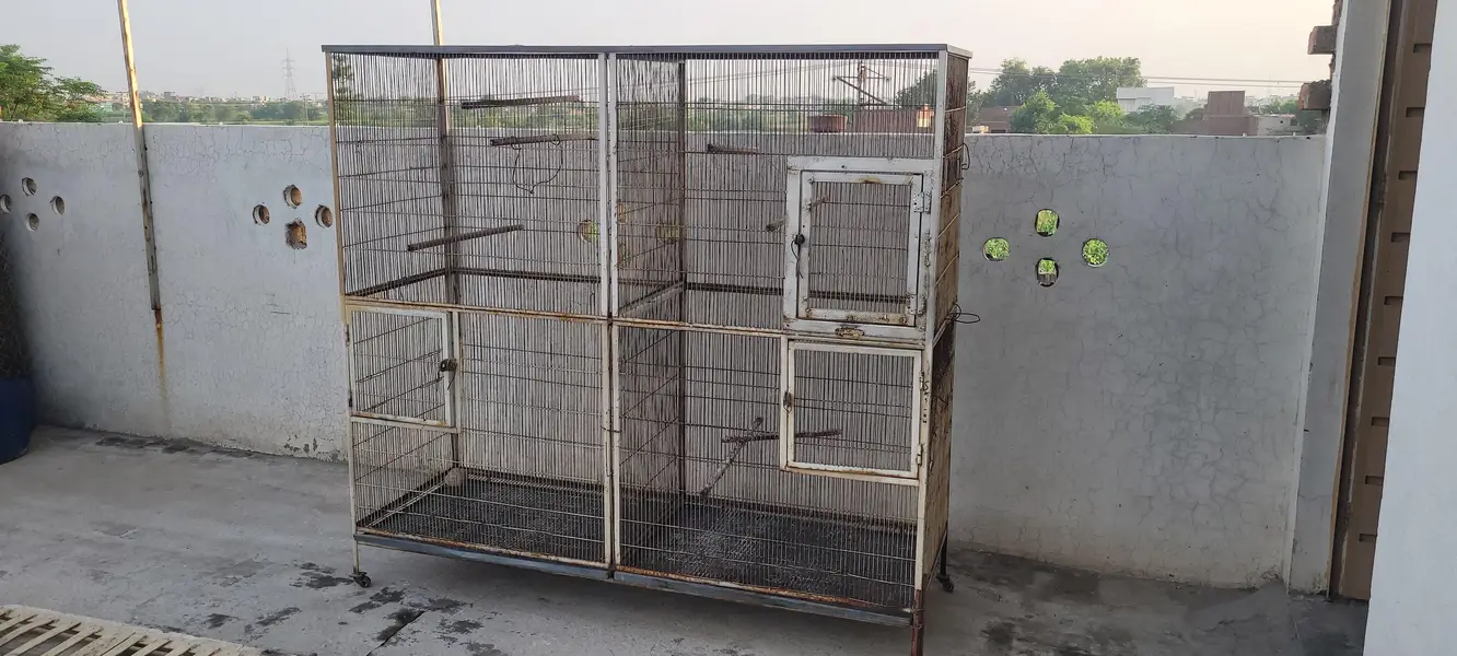 Parrot Cage — photo 3