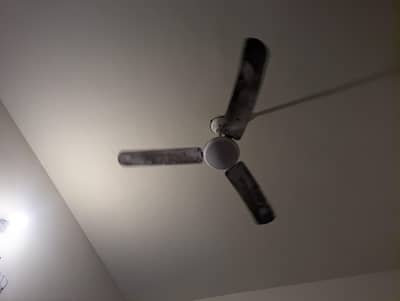 GFC 56inch AC/DC fan white new