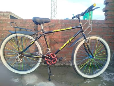 Giant Cycle