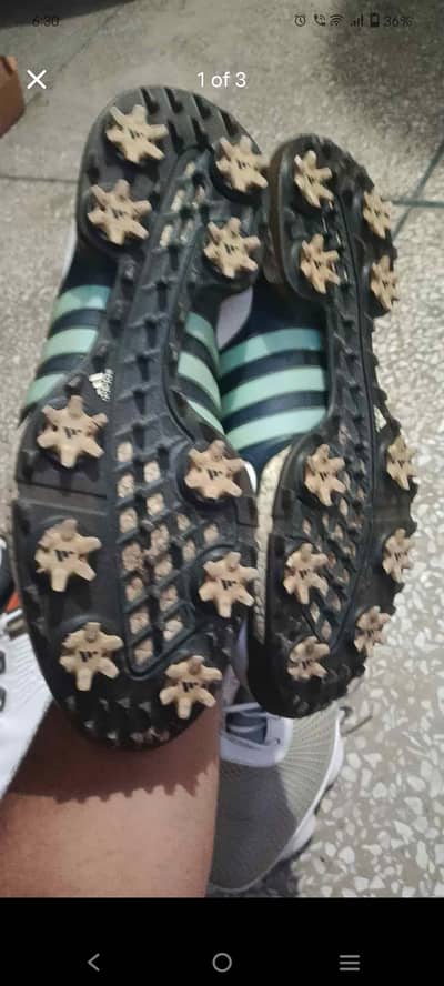 Golf Shoes