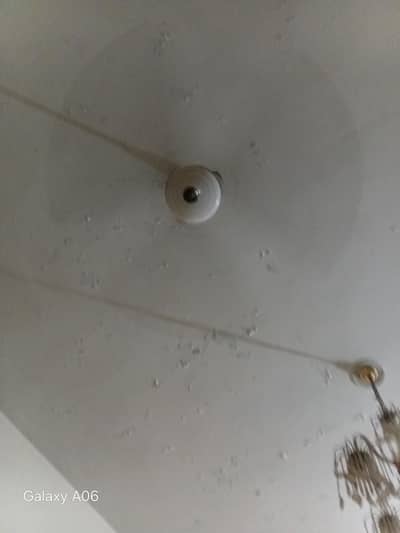 Ceiling Fan For Sale